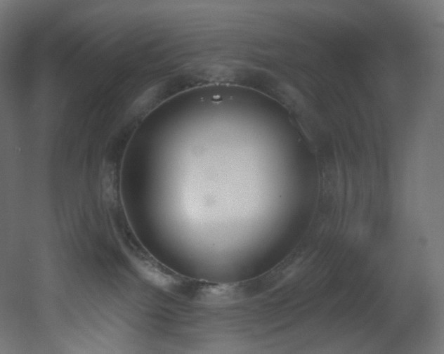 X0000051920092200506241520