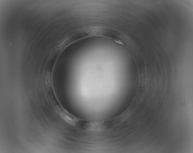 X0000051920093200506241520