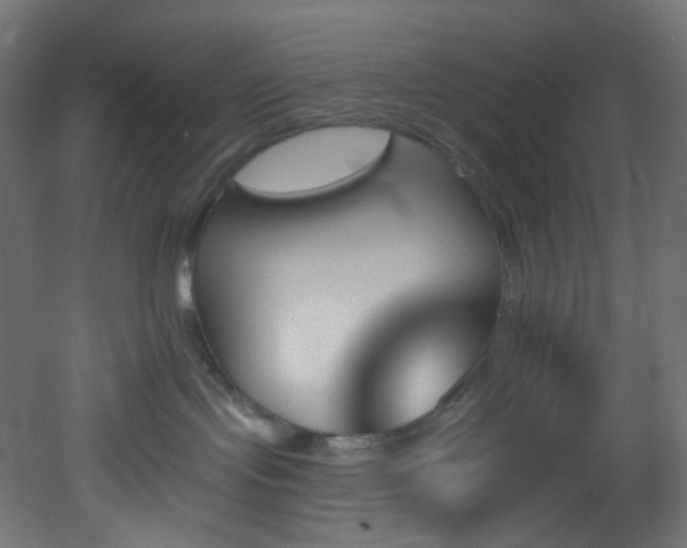 X0000051920095200506241520