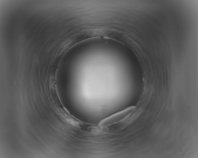 X0000051920096200506241520