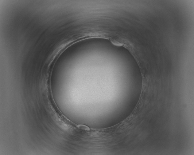 X0000051920098200506241519