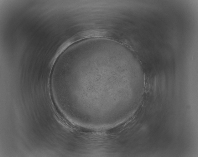 X0000051920099200506241519