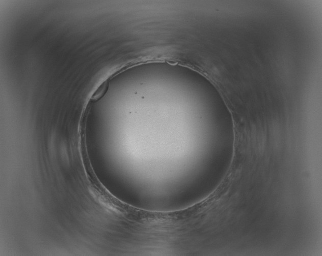 X0000051920100200506241519