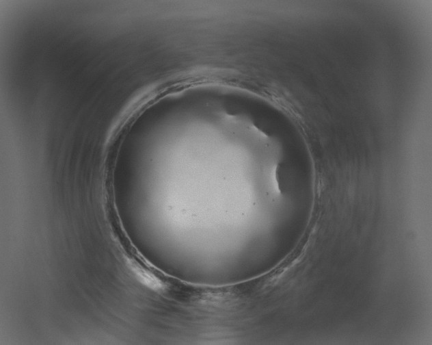 X0000051920101200506241519
