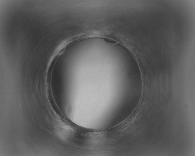 X0000051920102200506241519