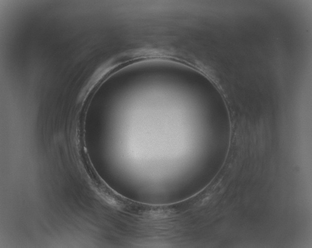 X0000051920103200506241519