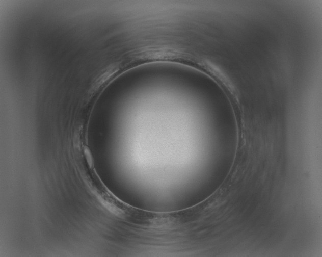 X0000051920105200506241519