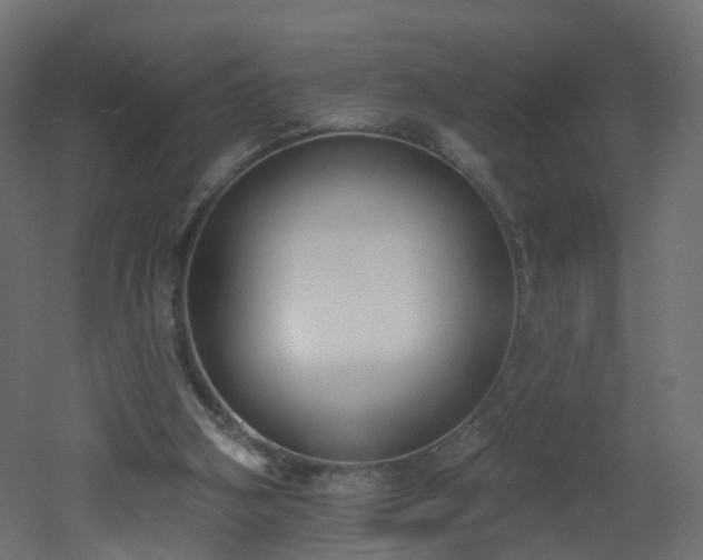 X0000051920106200506241519