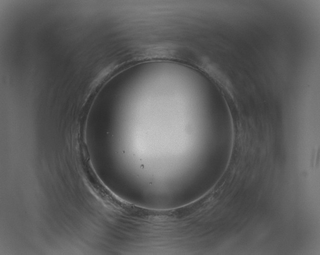 X0000051920107200506241519