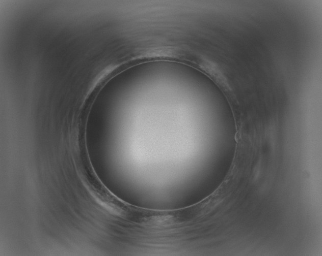X0000051920108200506241519
