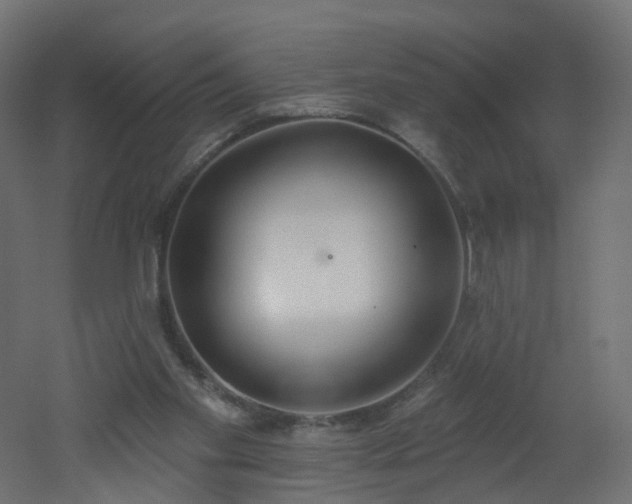 X0000051920109200506241519