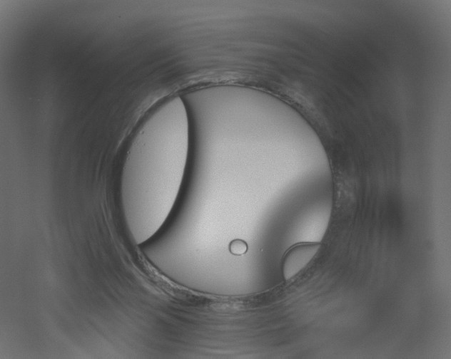 X0000051920110200506241519