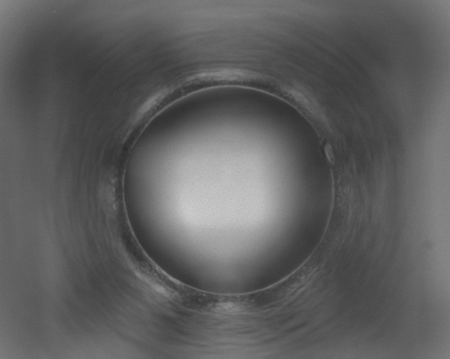 X0000051920111200506241519