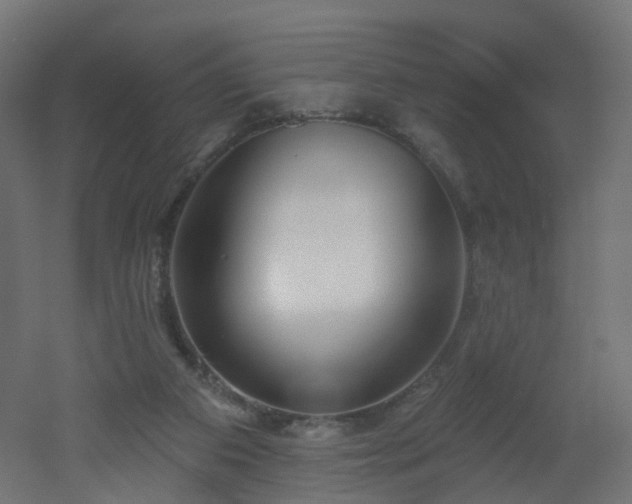 X0000051920113200506241519