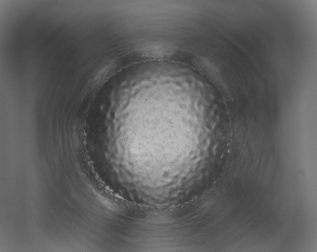 X0000051920114200506241519