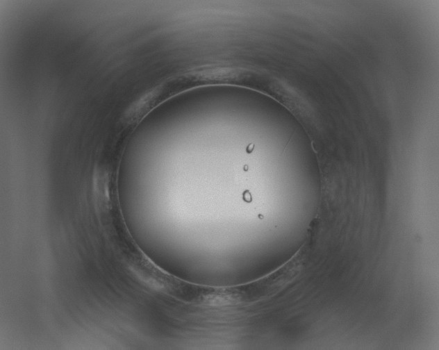 X0000051920115200506241519