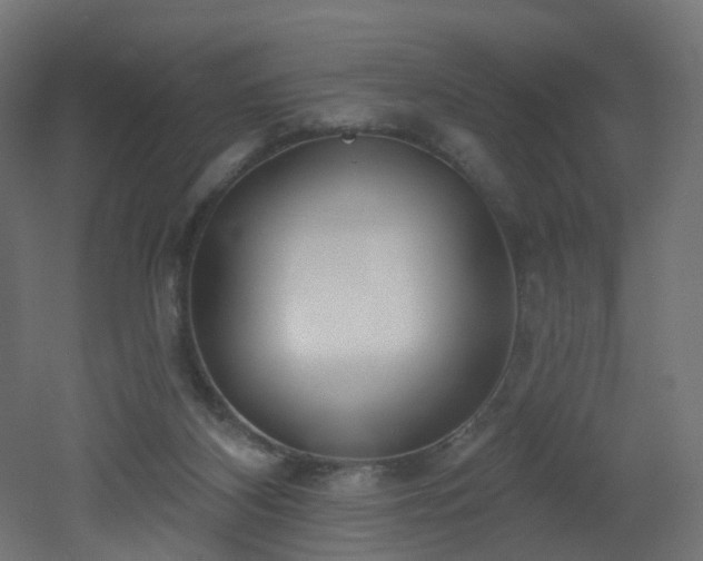X0000051920116200506241519