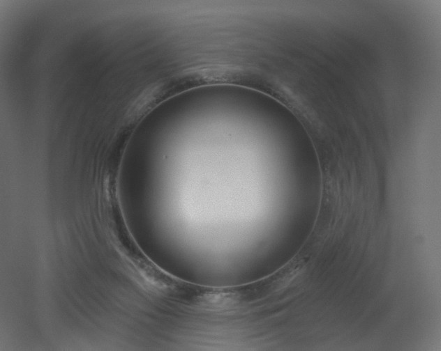 X0000051920117200506241519