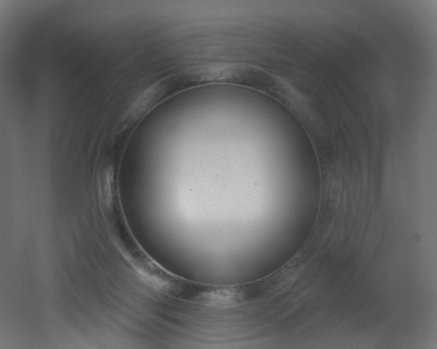 X0000051920118200506241519