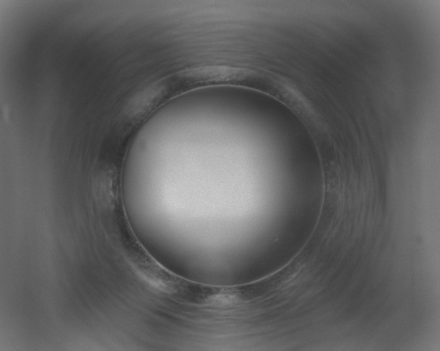 X0000051920119200506241519