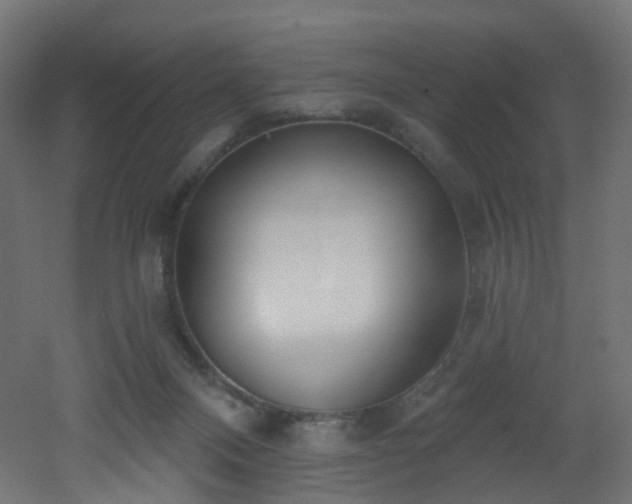 X0000051920120200506241519