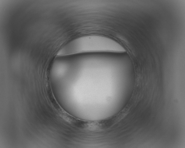 X0000051920121200506241519