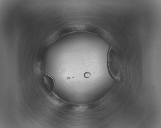 X0000051920122200506241519