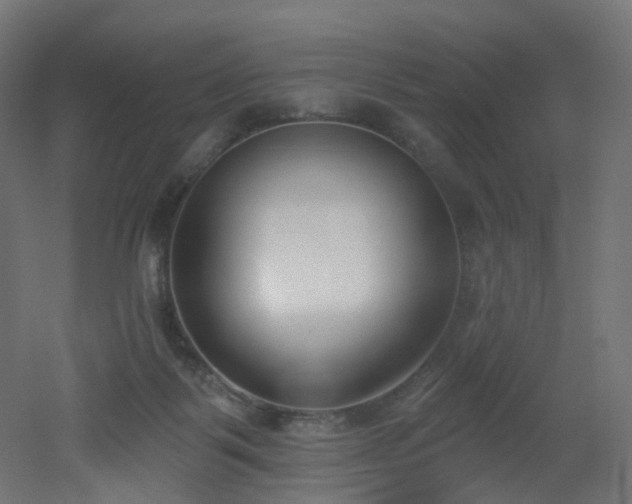 X0000051920123200506241519