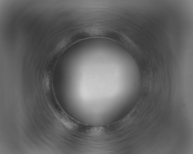 X0000051920124200506241519