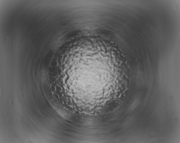 X0000051920130200506241519