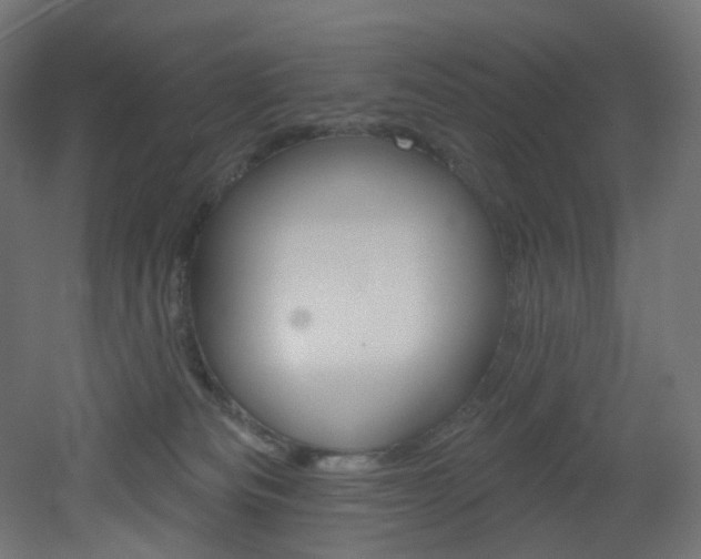 X0000051920133200506241519
