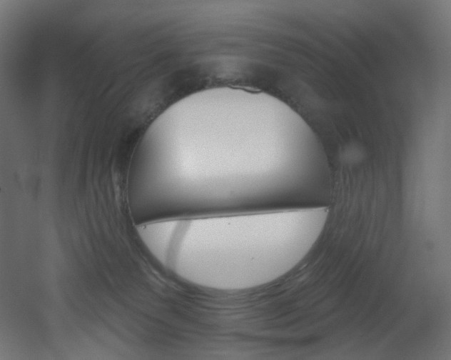 X0000051920135200506241519
