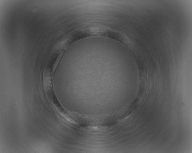 X0000051920137200506241519