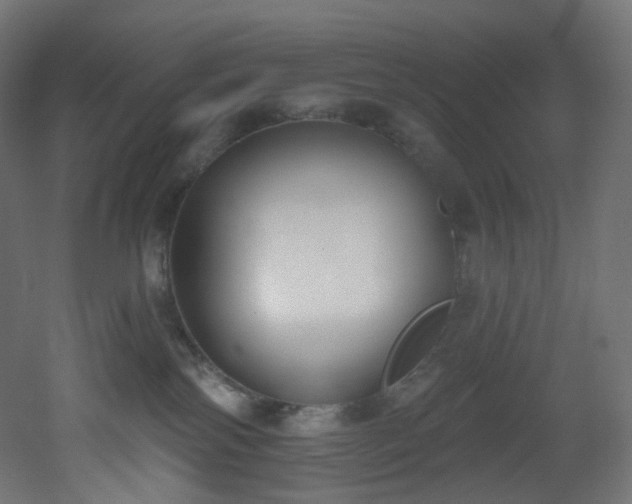 X0000051920138200506241519