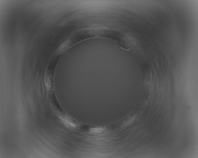 X0000051920139200506241519