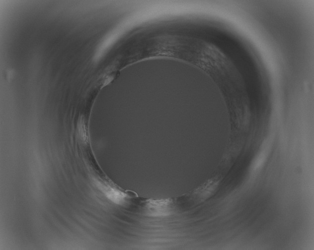 X0000051920143200506241519