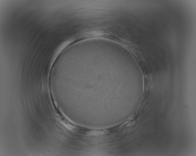 X0000051920147200506241518