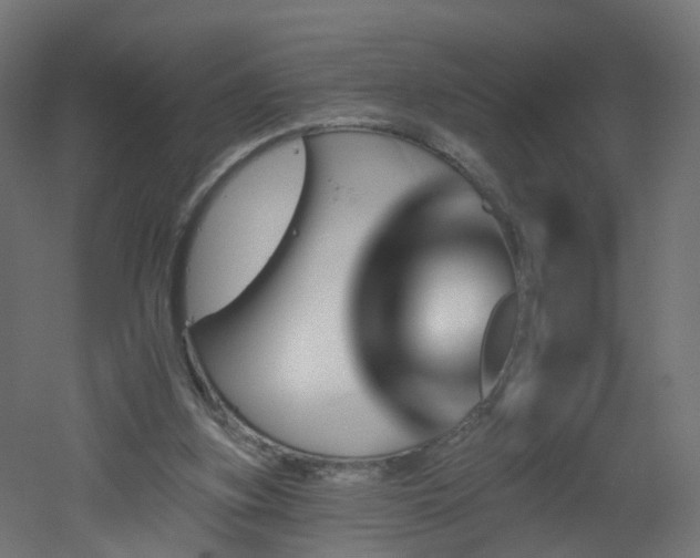 X0000051920155200506241518