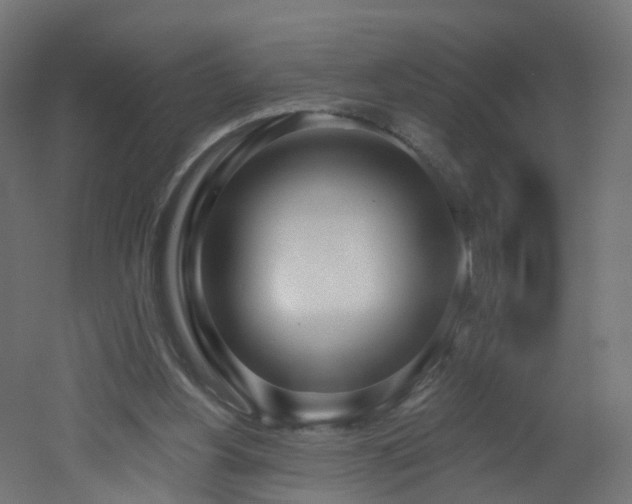 X0000051920156200506241518