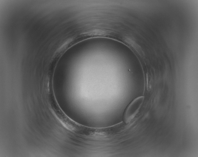 X0000051920157200506241518