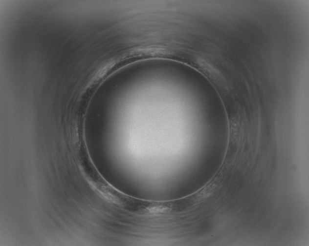 X0000051920158200506241518