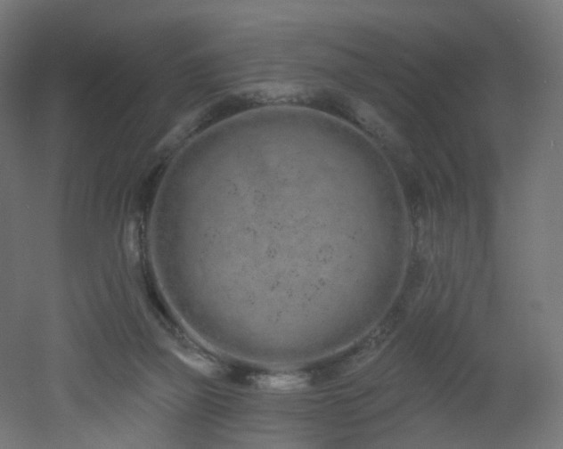 X0000051920165200506241518