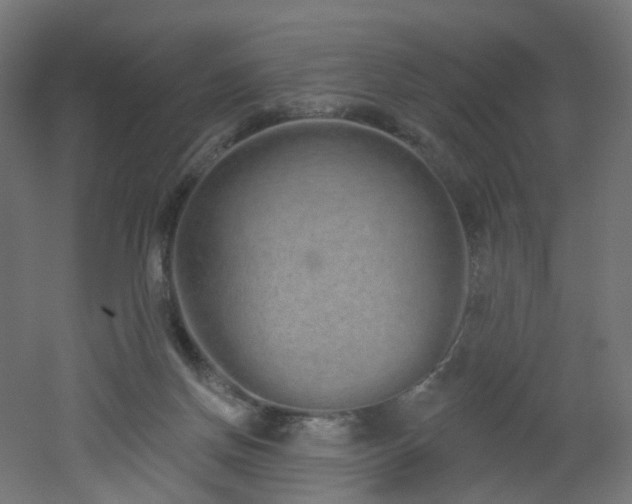 X0000051920166200506241518