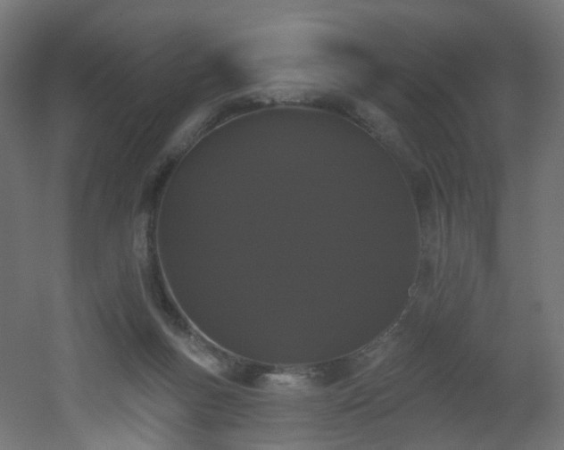 X0000051920167200506241518
