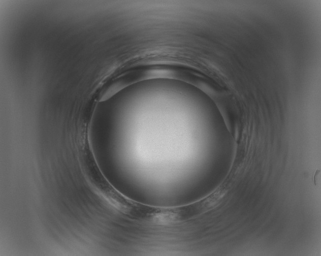 X0000051920168200506241518