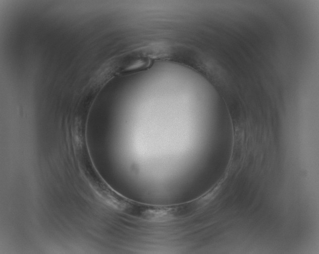 X0000051920170200506241518