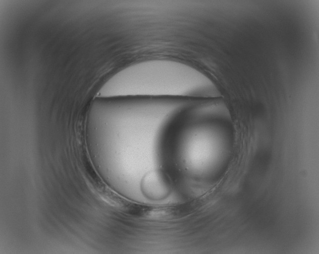 X0000051920171200506241518