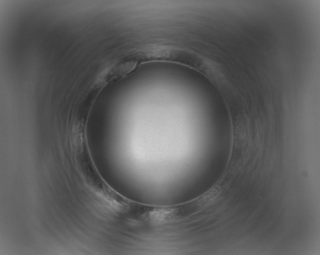 X0000051920172200506241518