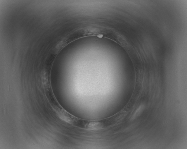 X0000051920173200506241518