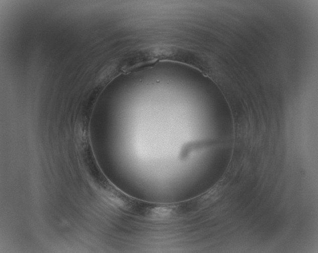 X0000051920176200506241518